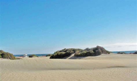 maspalomas nude beach|Dunes of Maspalomas and LGBTQ+ Nude Beach